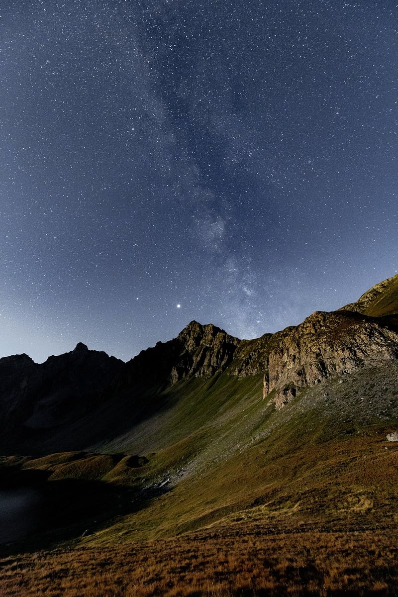 Moonlit Dance Under the Stars